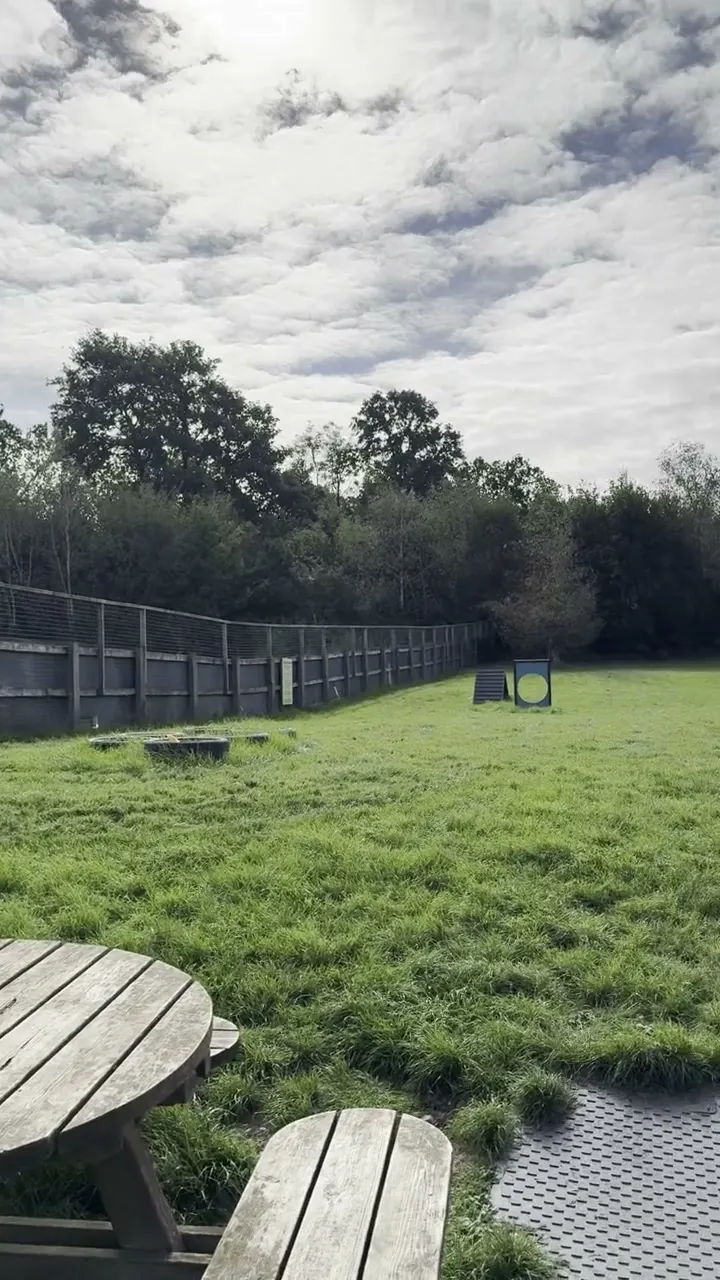 The fenced dog exercise field at Birmingham Dogs Home